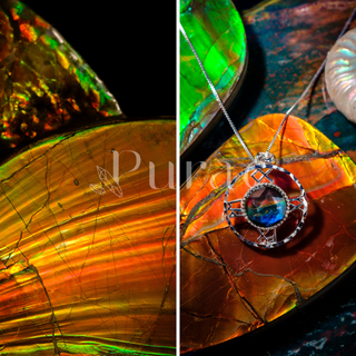 Basic 101: Discover The Differences Between Ammonite and Ammolite