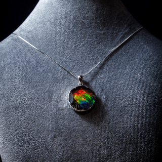 Harnessing the Feng Shui Power: Exploring the Benefits of Ammonite and Ammolite