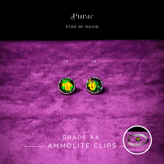 [NEW] Ammolite Clips