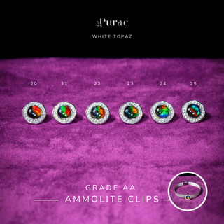 [NEW] Ammolite Clips