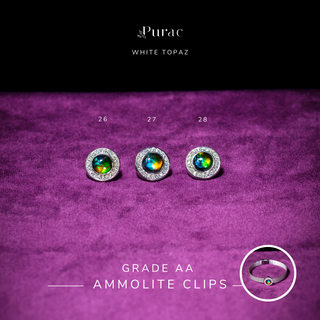 [NEW] Ammolite Clips