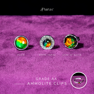 [NEW] Ammolite Clips