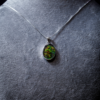 Mystery [2] Ammolite Pendant - Standard Grade