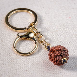 Key Chain / Bag Charm - 5 Mukhis Rudraksha Seed (20mm) - Bhutan