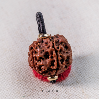 Pendant - 5 Mukhis Rudraksha (20mm) - Bhutan