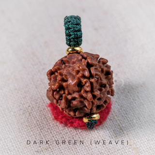 Pendant - 5 Mukhis Rudraksha (20mm) - Bhutan