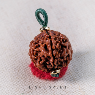 Pendant - 5 Mukhis Rudraksha (20mm) - Bhutan