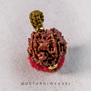 Pendant - 5 Mukhis Rudraksha (20mm) - Bhutan