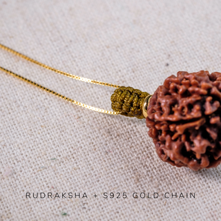 Pendant - 5 Mukhis Rudraksha (20mm) - Bhutan