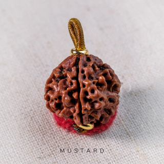 Pendant - 5 Mukhis Rudraksha (20mm) - Bhutan